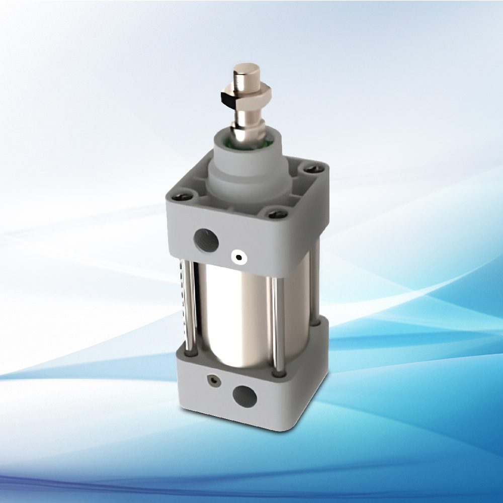 ESNS Series: Stainless Steel Barrel Pneumatic Cylinder | SPAC